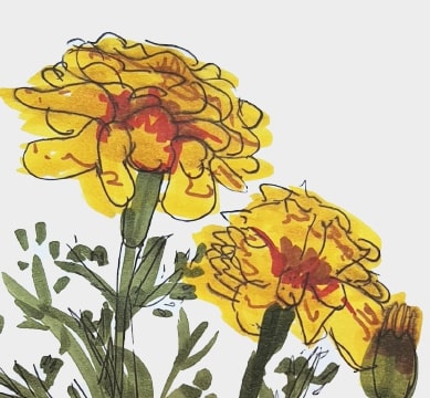 flower1