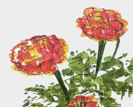 flower2